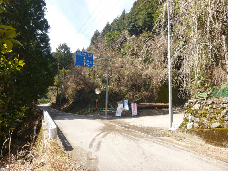 D地点