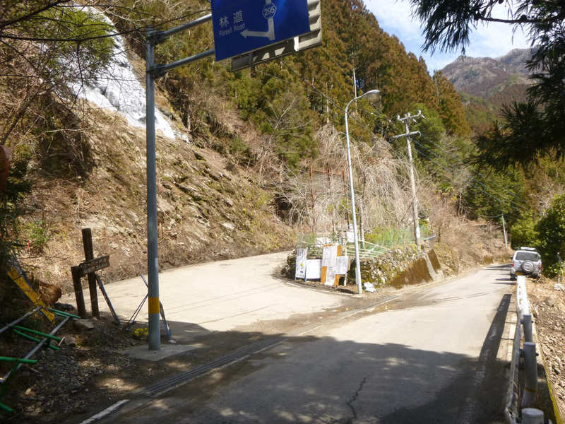 D地点