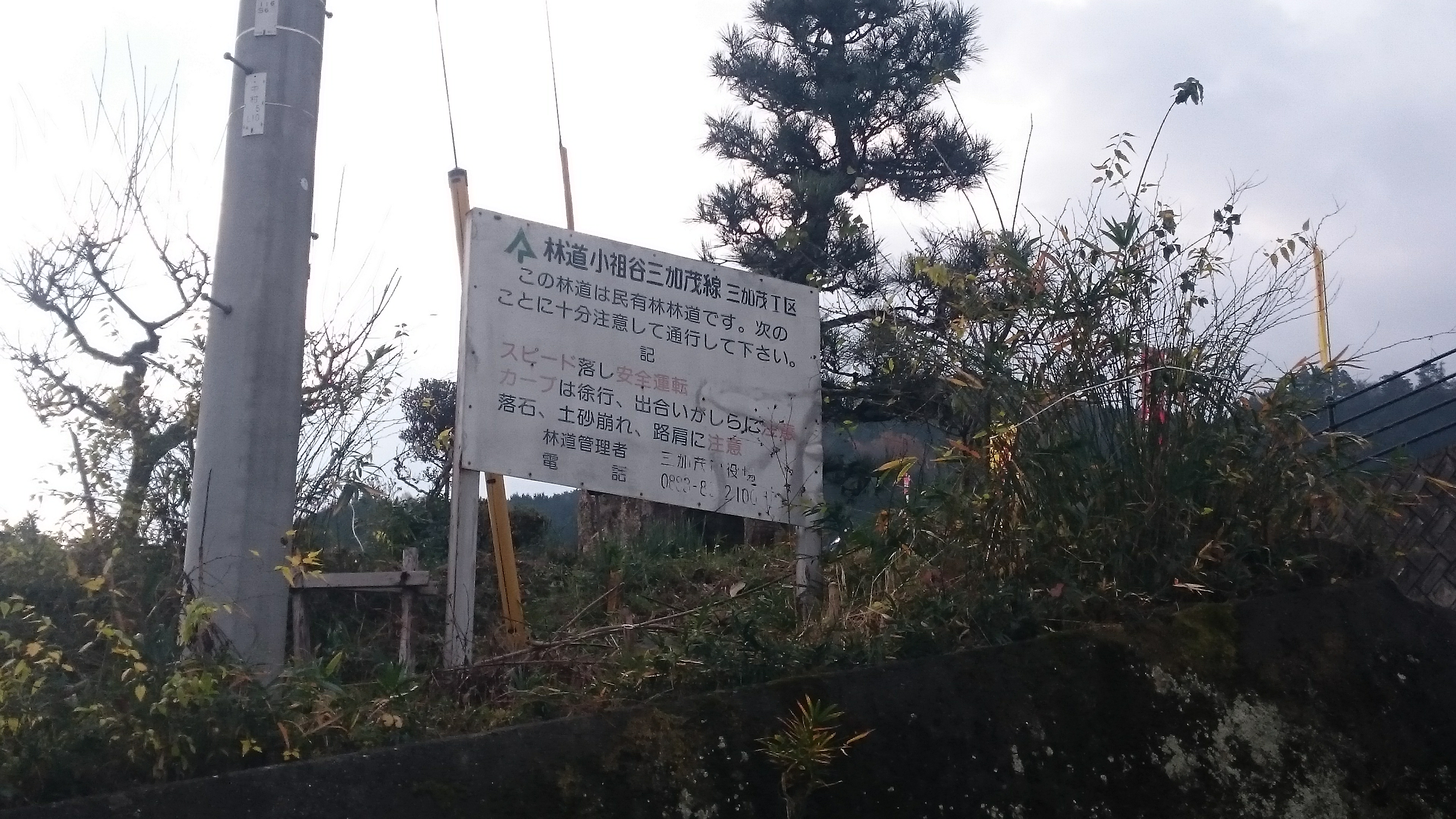 林道小祖谷三加茂線