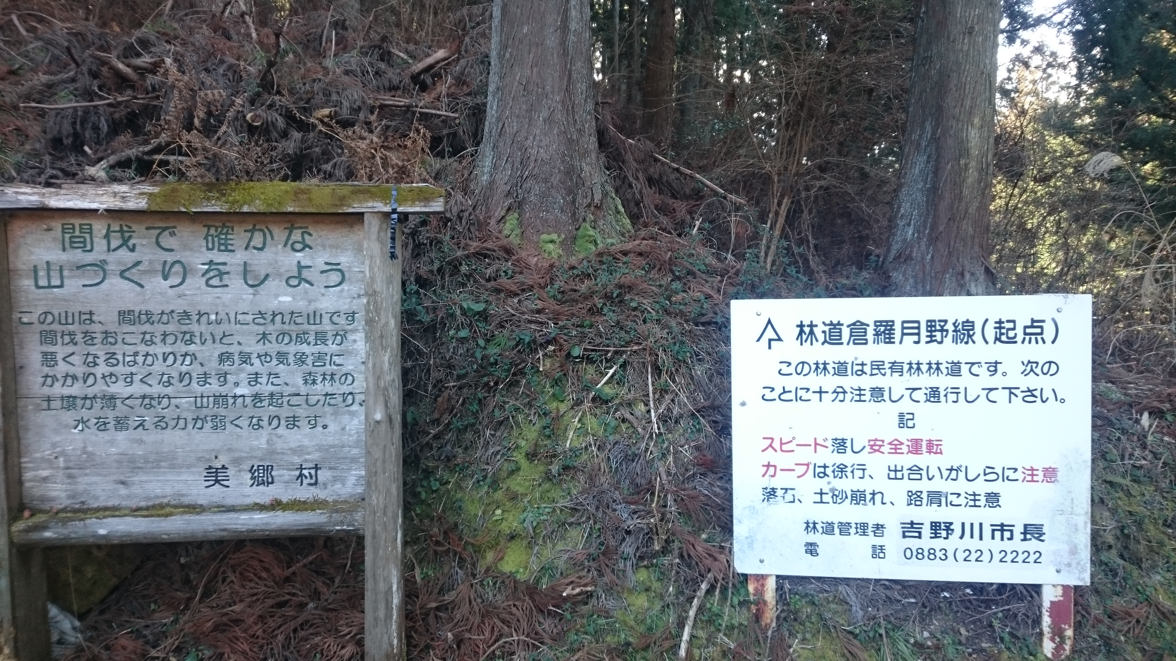 倉羅月野線