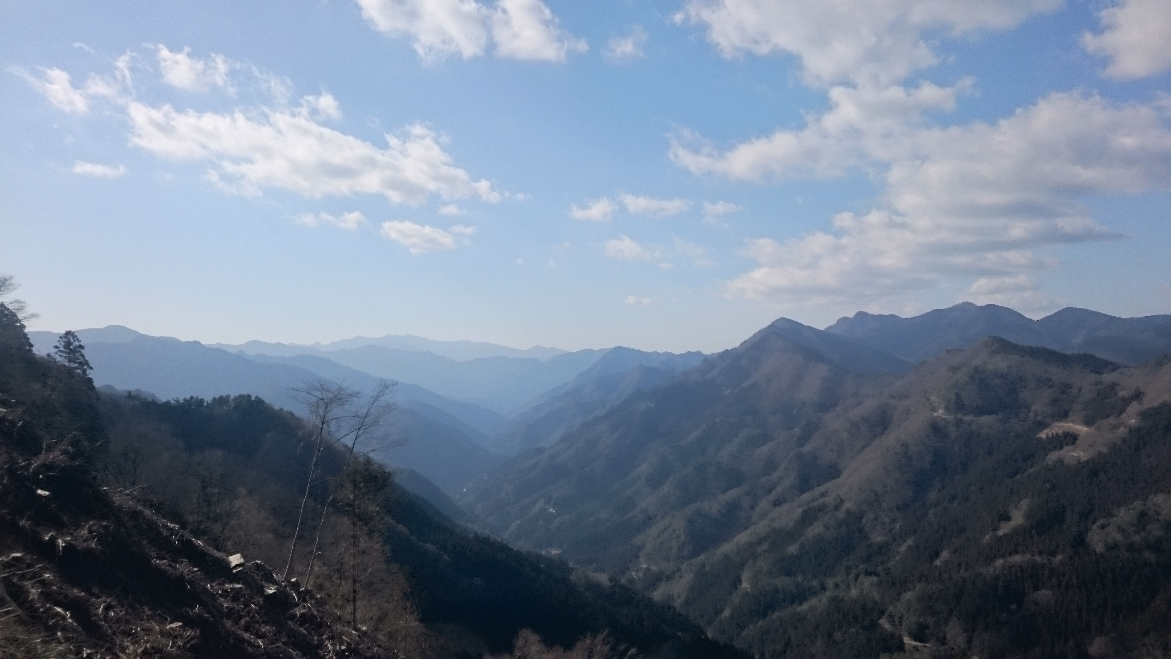 倉羅川井峠線