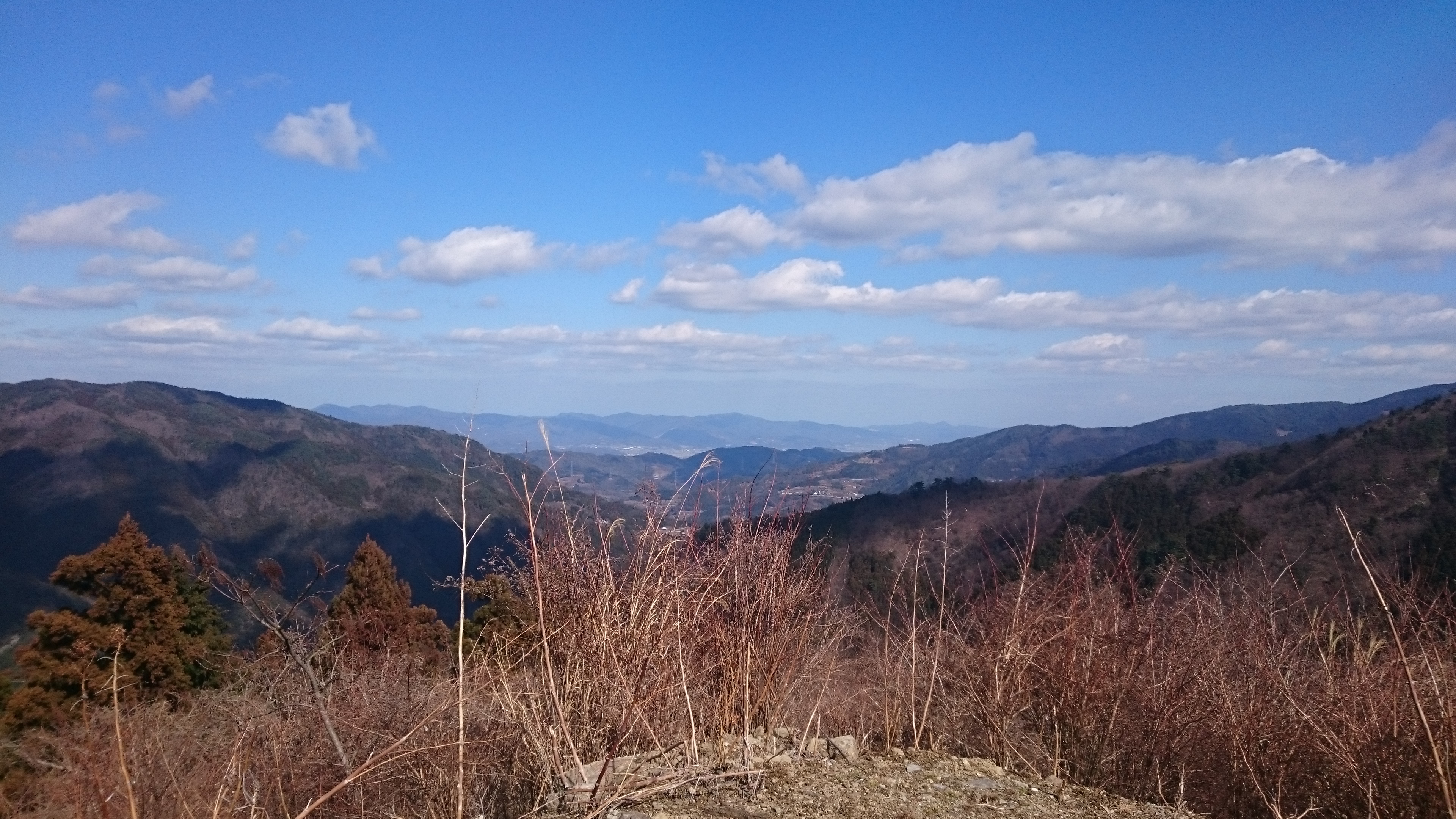 大平槙山線