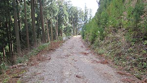 辺川馬路線