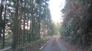延野請ノ谷線