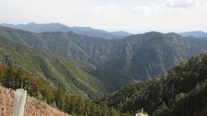 谷山霧越線