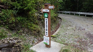 赤帽子線