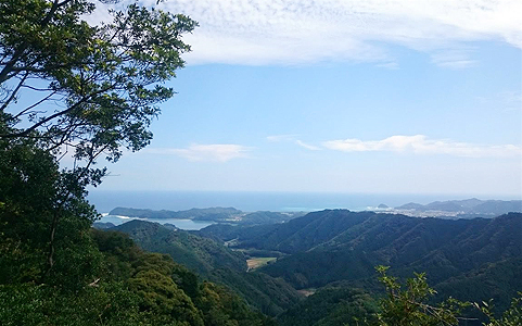 林道神野内妻線