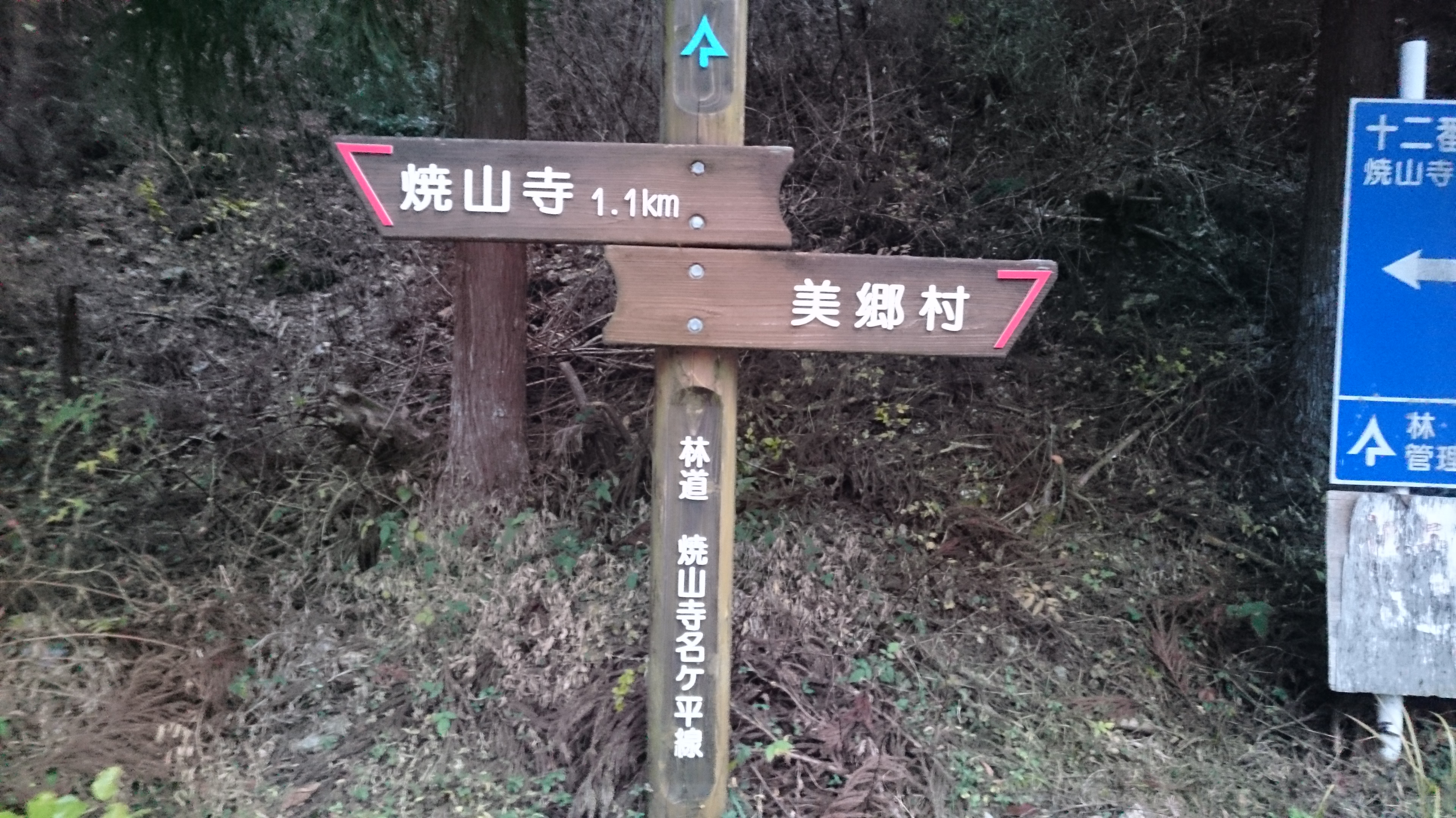 林道焼山寺名ヶ平線