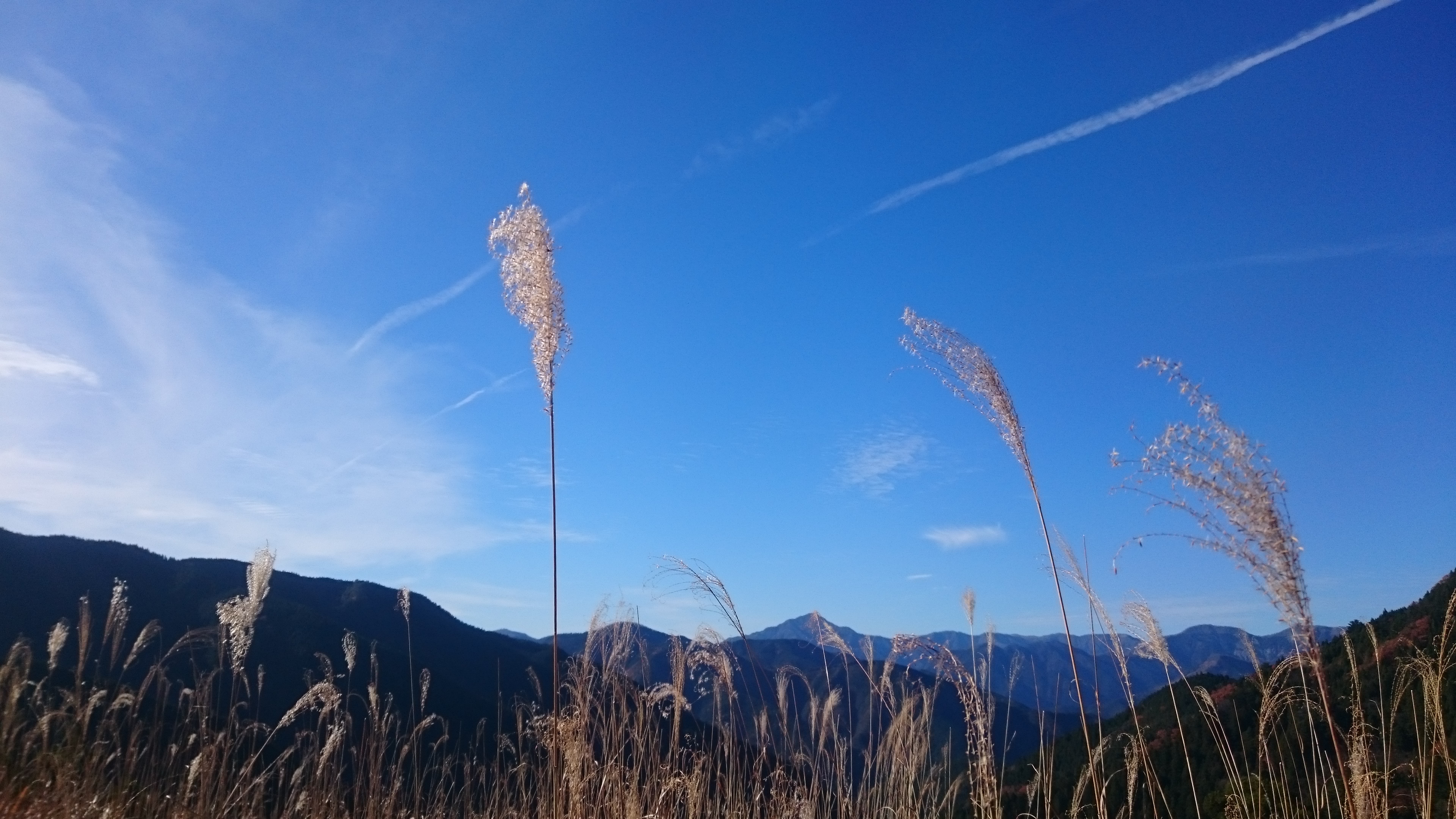 林道南川線